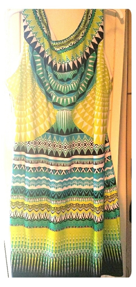 Sandra Darren Dress